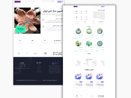 نمونه کار 4
